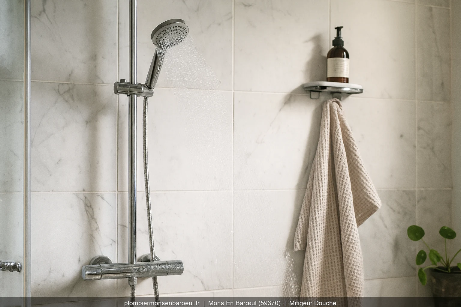 Pose mitigeur thermostatique douche Hansgrohe Ecostat a Mons-en-Barœul (59370)